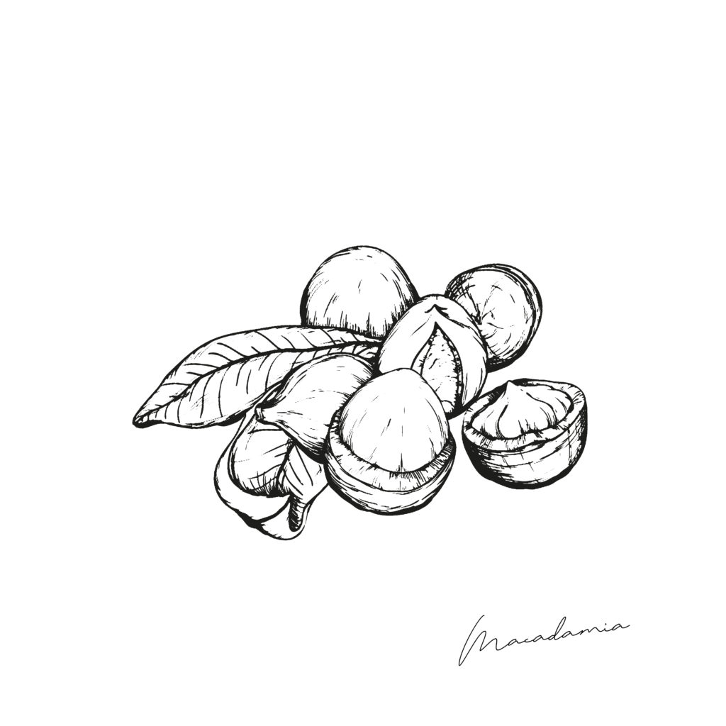 Huile végétale de Macadamia : matière première des cosmétiques Marie-Laure Viguier